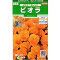 送料無料　花の種　ビオラ　ピエナ　オレンジ　20粒　(株)サカタのタネ　実咲250（026269）