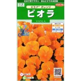 送料無料　花の種　ビオラ　ピエナ　オレンジ　20粒　(株)サカタのタネ　実咲250（026269）