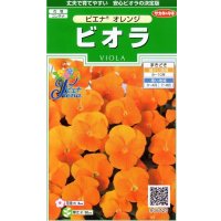 送料無料　花の種　ビオラ　ピエナ　オレンジ　20粒　(株)サカタのタネ　実咲250（026269）