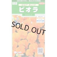 花の種　ビオラ　ピエナ　オレンジ　20粒　　サカタのタネ（株）実咲250