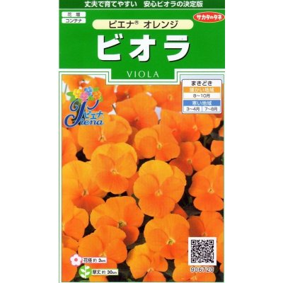 画像1: 送料無料　花の種　ビオラ　ピエナ　オレンジ　20粒　(株)サカタのタネ　実咲250（026269）