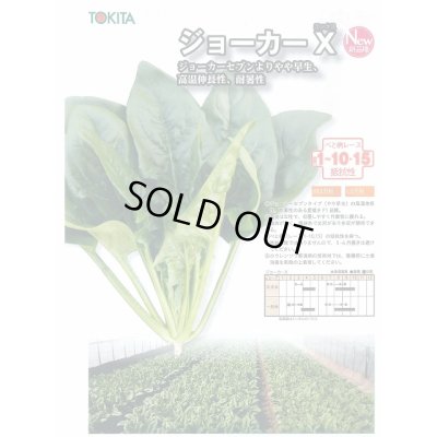 画像2: ほうれんそう ジョーカーＸ 3万粒（種子サイズ：Ｍ） トキタ種苗(株)