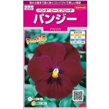 送料無料　花の種　パンジー　パシオ　ローズブロッチ　約34粒　(株)サカタのタネ　実咲350（026140）
