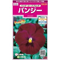 送料無料　花の種　パンジー　パシオ　ローズブロッチ　約34粒　(株)サカタのタネ　実咲350（026140）
