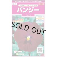 花の種　パンジー　パシオ　ローズブロッチ　約34粒　　サカタのタネ（株）実咲350