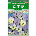 送料無料　花の種　ビオラ　ピエナ　ラベンダーマジック　20粒　(株)サカタのタネ　実咲250（026271）