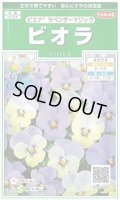 送料無料　花の種　ビオラ　ピエナ　ラベンダーマジック　20粒　(株)サカタのタネ　実咲250（026271）