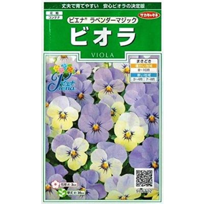 画像1: 送料無料　花の種　ビオラ　ピエナ　ラベンダーマジック　20粒　(株)サカタのタネ　実咲250（026271）