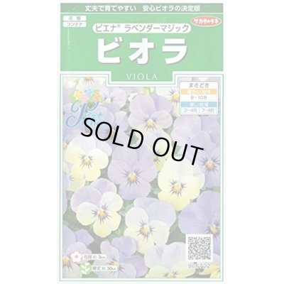 画像1: 花の種　ビオラ　ピエナ　ラベンダーマジック　20粒　　サカタのタネ（株）実咲250