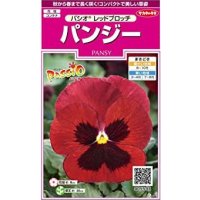 送料無料　花の種　パンジー　パシオ　レッドブロッチ　約34粒　(株)サカタのタネ　実咲350（026139）