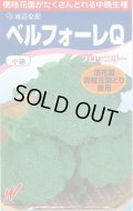 送料無料　[ブロッコリー]　ベルフォーレＱ　70粒　渡辺農事
