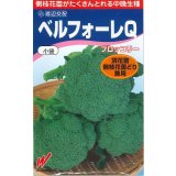 送料無料　[ブロッコリー]　ベルフォーレＱ　70粒　渡辺農事