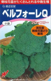 送料無料　[ブロッコリー]　ベルフォーレＱ　70粒　渡辺農事（株）
