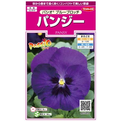 画像1: 送料無料　花の種　パンジー　パシオ　ブルーブロッチ　約34粒　(株)サカタのタネ　実咲350（026142）