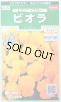 送料無料　花の種　ビオラ　ピエナ　イエロー　20粒　(株)サカタのタネ　実咲250（026270）
