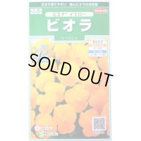花の種　ビオラ　ピエナ　イエロー　20粒　　サカタのタネ（株）実咲250