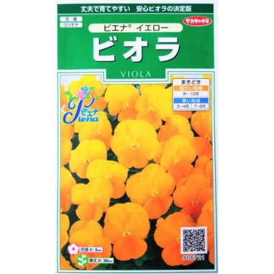 画像1: 送料無料　花の種　ビオラ　ピエナ　イエロー　20粒　(株)サカタのタネ　実咲250（026270）