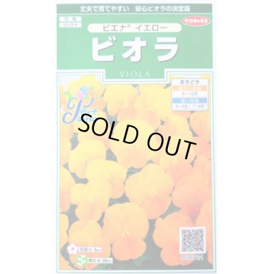 画像1: 花の種　ビオラ　ピエナ　イエロー　20粒　　サカタのタネ（株）実咲250