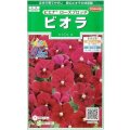 送料無料　花の種　ビオラ　ピエナ　ローズブロッチ　20粒　(株)サカタのタネ　実咲250（026272）
