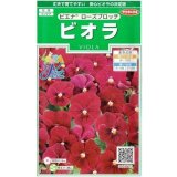送料無料　花の種　ビオラ　ピエナ　ローズブロッチ　20粒　(株)サカタのタネ　実咲250（026272）
