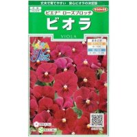 送料無料　花の種　ビオラ　ピエナ　ローズブロッチ　20粒　(株)サカタのタネ　実咲250（026272）
