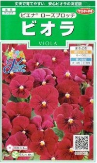 送料無料　花の種　ビオラ　ピエナ　ローズブロッチ　20粒　(株)サカタのタネ　実咲250（026272）