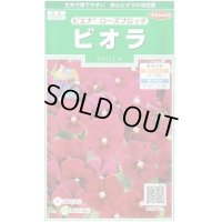 花の種　ビオラ　ピエナ　ローズブロッチ　20粒　　サカタのタネ（株）実咲250