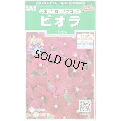 画像1: 送料無料　花の種　ビオラ　ピエナ　ローズブロッチ　20粒　(株)サカタのタネ　実咲250（026272）