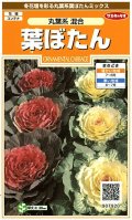 送料無料　花の種　葉ぼたん　丸葉系混合　約27粒　(株)サカタのタネ　実咲200（026375）