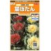 画像1: 花の種　葉ぼたん　丸葉系混合　約27粒　サカタのタネ（株）実咲200 (1)