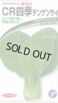 送料無料　[中国野菜]　チンゲンサイ　ＣＲ四季チンゲンサイ　2ml　(株)タカヤマシード