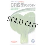 送料無料　[中国野菜]　チンゲンサイ　ＣＲ四季チンゲンサイ　2ml　(株)タカヤマシード