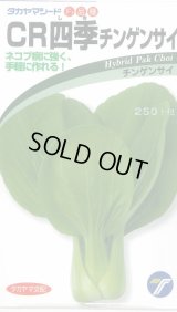 送料無料　[中国野菜]　チンゲンサイ　ＣＲ四季チンゲンサイ　2ml　(株)タカヤマシード