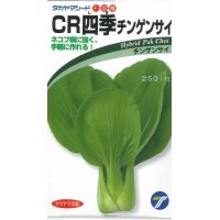 [中国野菜]　チンゲンサイ　　ＣＲ四季チンゲンサイ　2ml  （株）タカヤマシード