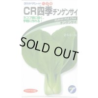 送料無料　[中国野菜]　チンゲンサイ　ＣＲ四季チンゲンサイ　2ml　(株)タカヤマシード