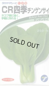 送料無料　[中国野菜]　チンゲンサイ　ＣＲ四季チンゲンサイ　2ml　(株)タカヤマシード