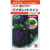 送料無料　[カリフラワー]　バイオレットクイン　0.6ml　タキイ種苗(株)　RF