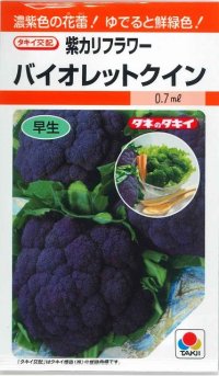 送料無料　[カリフラワー]　バイオレットクイン　0.6ml　タキイ種苗(株)　RF