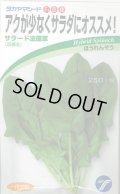 送料無料　[ほうれんそう]　サラード　30ml　(株)タカヤマシード