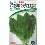 送料無料　[ほうれんそう]　サラード1dl　(株)タカヤマシード