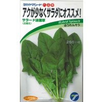 送料無料　[ほうれんそう]　サラード1dl　(株)タカヤマシード