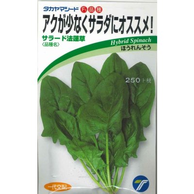 画像1: 送料無料　[ほうれんそう]　サラード　30ml　(株)タカヤマシード