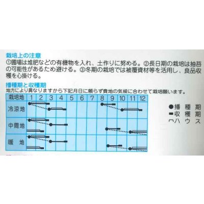画像2: 送料無料　[ほうれんそう]　サラード　30ml　(株)タカヤマシード