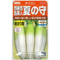 送料無料　[大根]　夏の守　(約150粒)　(株)サカタのタネ 実咲450（003072）