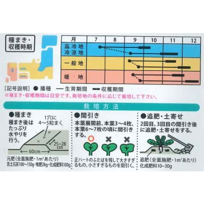 画像2: 送料無料　[大根]　ふるさと　8ml　（株）大和農園
