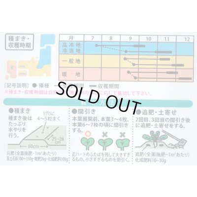 画像2: 送料無料　[大根]　ふるさと　8ml　大和農園