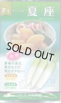 送料無料　[大根]　夏座　8ml　(株)大和農園
