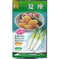 送料無料　[大根]　夏座　8ml　（株）大和農園