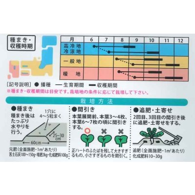 画像2: 送料無料　[大根]　夏座　8ml　（株）大和農園
