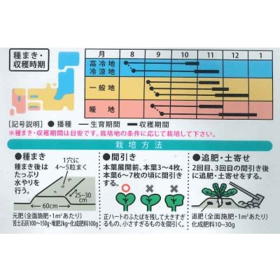 画像2: 送料無料　[大根]　紀和　8ml(およそ260粒)（株）大和農園